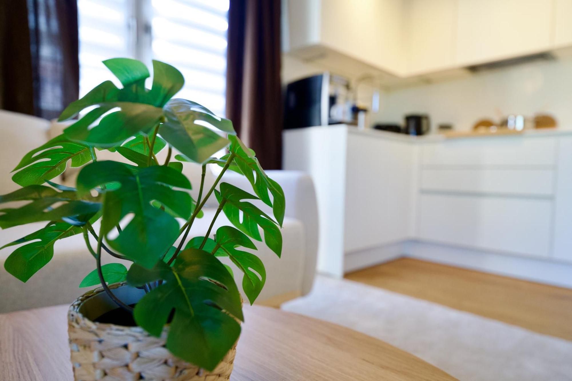 Edler Wohnraum Schwanenteich-Oase Mit Balkon, Kaffeevollautomat, Lift & Parkplatz Apartamento Zwickau Exterior foto